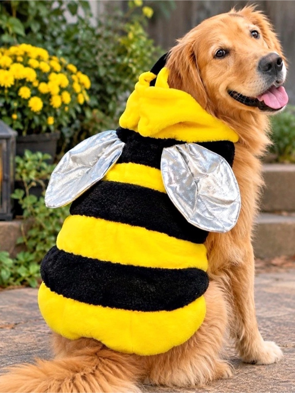 Bumble Bee Dog & Cat Costume Yellow & Black